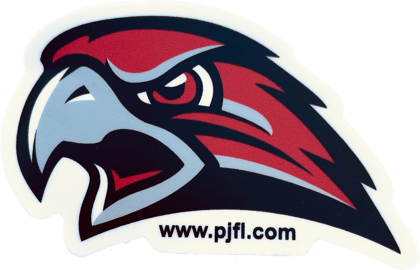 PJFL is an NFL FLAG League! - Pleasanton Junior Football League